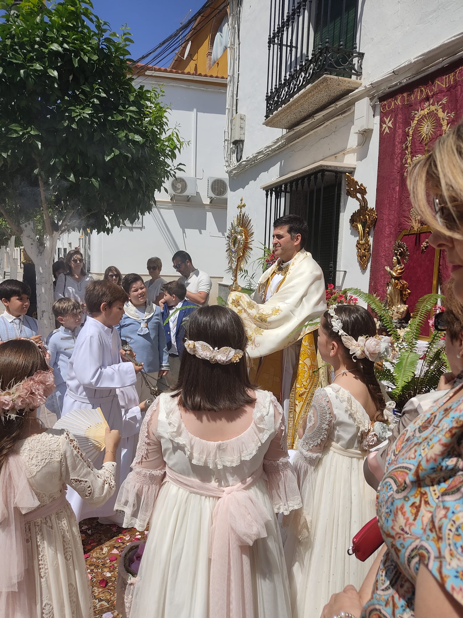 WhatsApp Image 2023-06-12 at 14.09.14