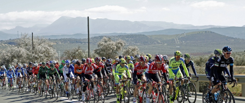 WhatsApp Image 2023-01-25 at 14.40.08 (2)