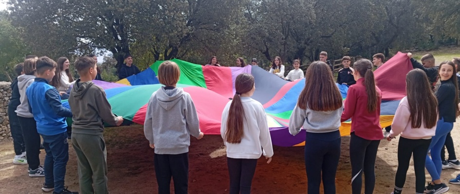 WhatsApp Image 2026-03-23 at 13.39.22 (1)