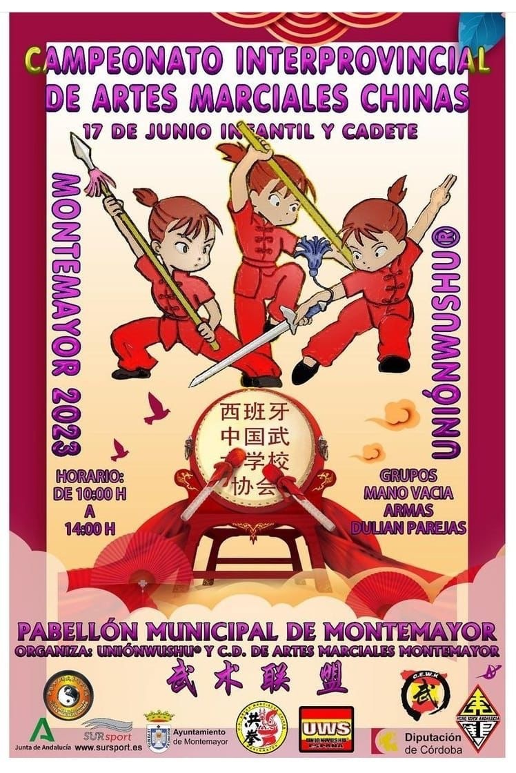campeonato interprovincial de artes marciales chinas