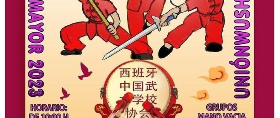 campeonato interprovincial de artes marciales chinas