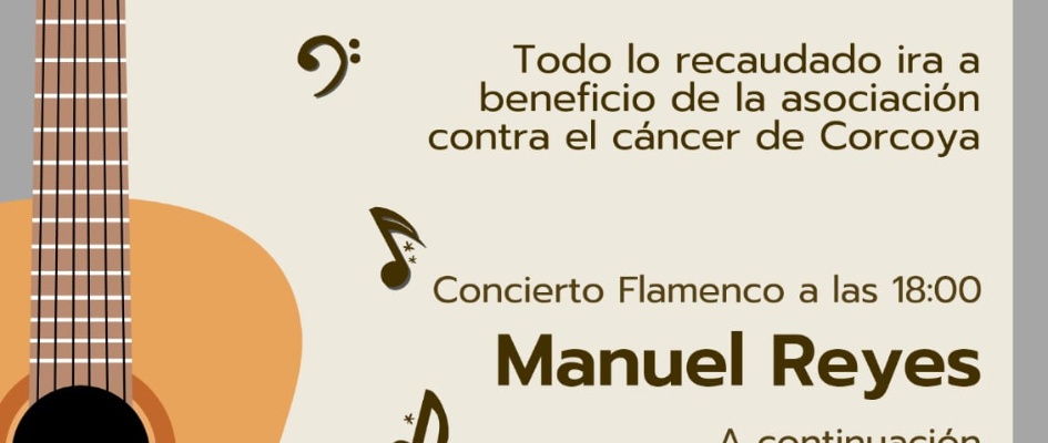 dia flamenco - jornada benefica corcoya