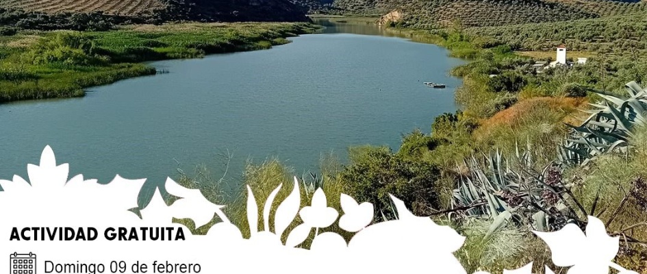 dia mundial humedales