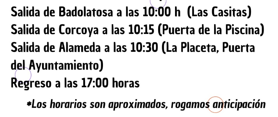 feria zanahoria mora autobus