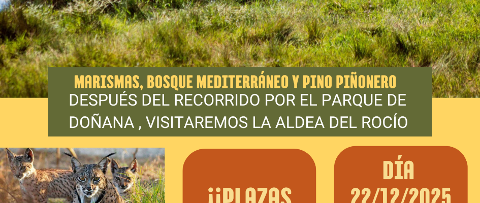 10.Cartel viaje de Doñana 22 DIC