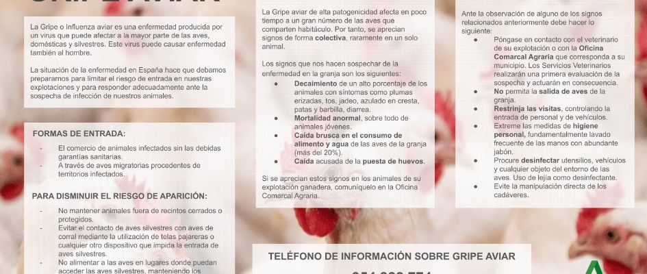 12novimebre gripe aviarOFICIO IA BADOLATOSA(F)-7