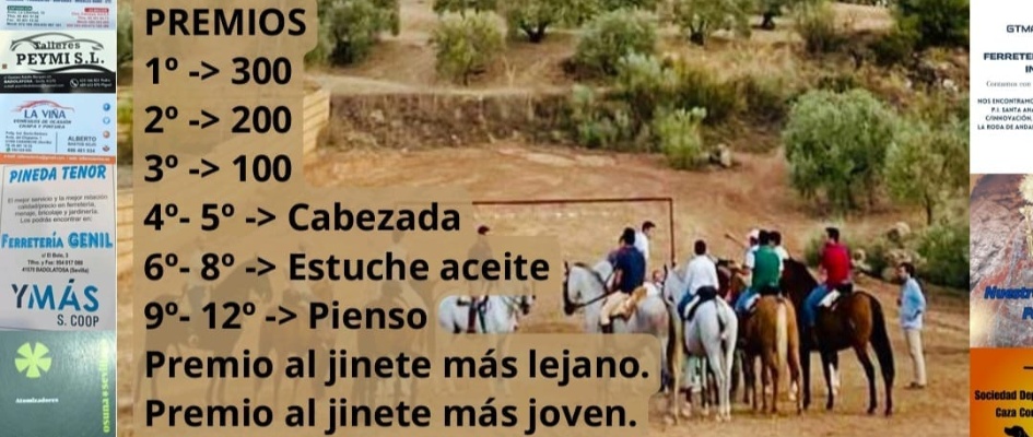 CARRERA CABALLOS