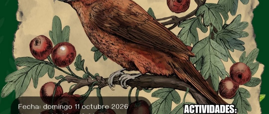 JORNADA AVES 11 OCTUBRE 2026