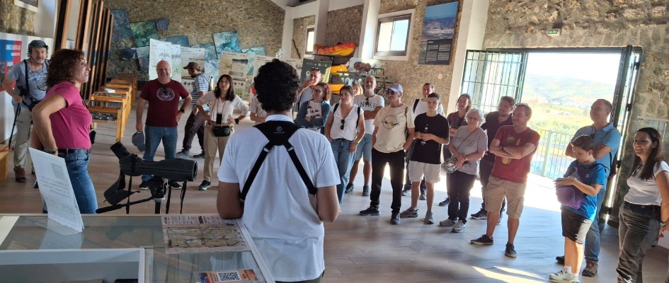 8e42530e-afc9-41bf-89e4-f295b84b1f89