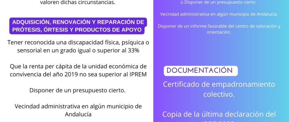 ayudas individuales a la discapacidad-1