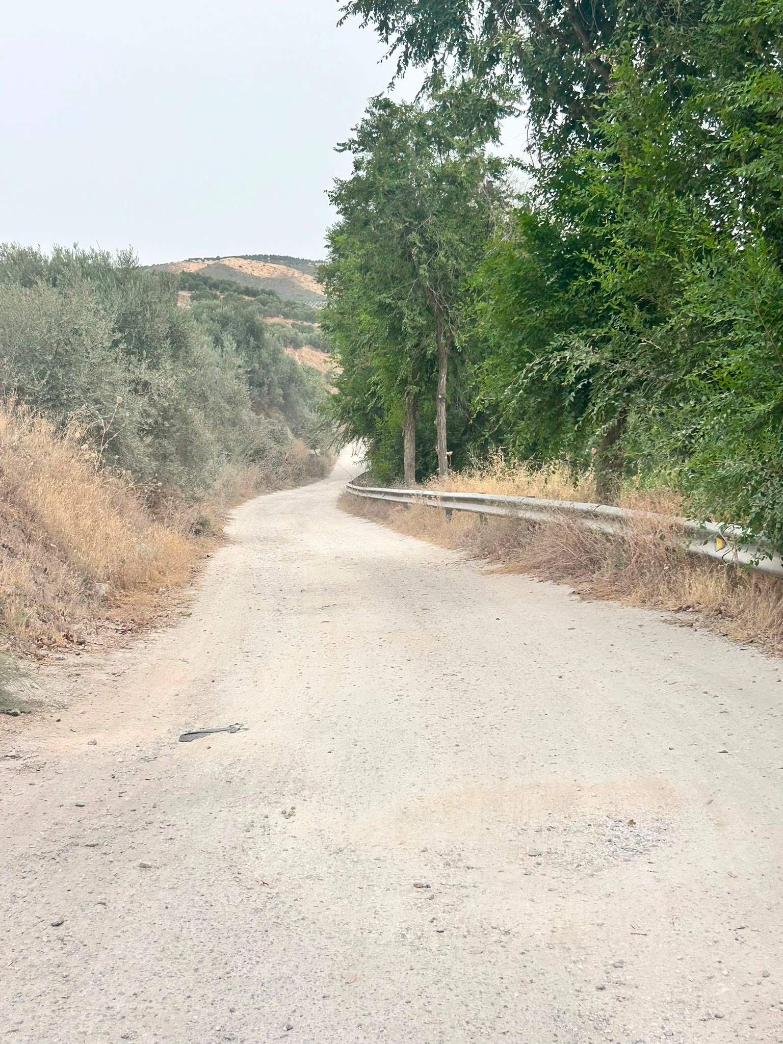 camino de los huertos
