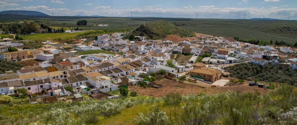 278813910_1386600285135387_6103422966014642110_n