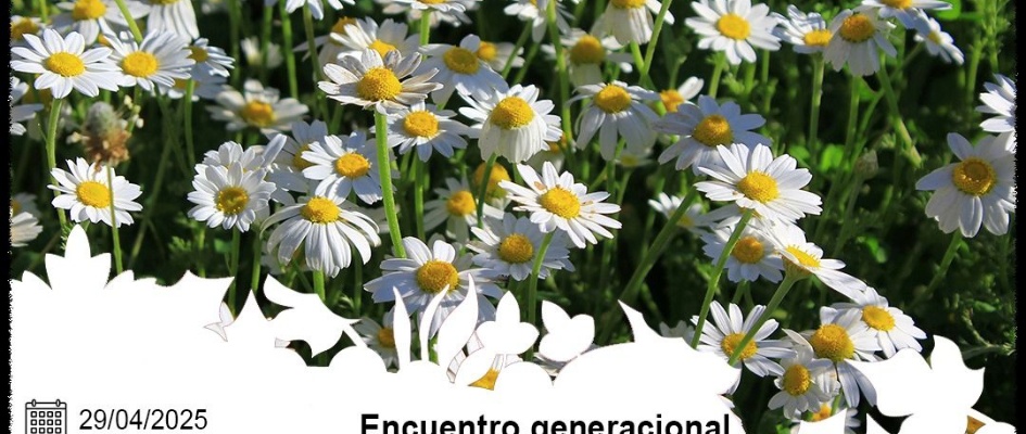 encuentro etnobotanico