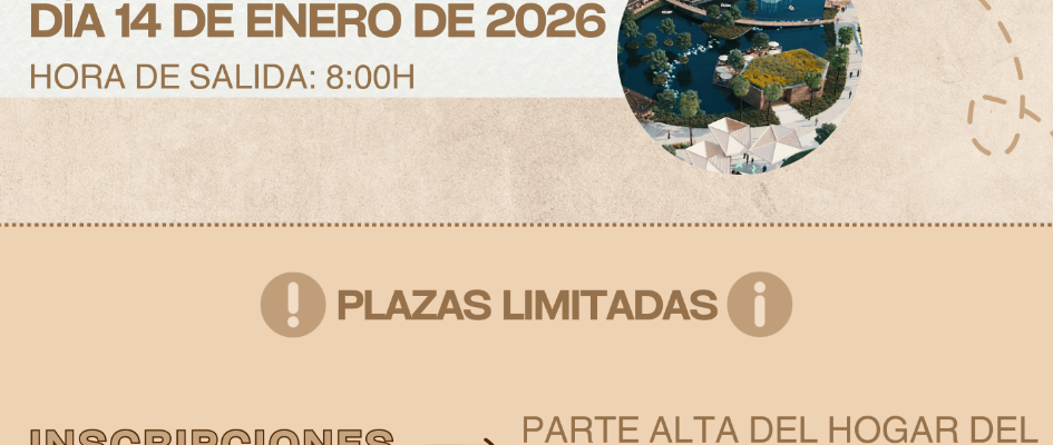 viaje a sevilla asociacion mayores 14 enero